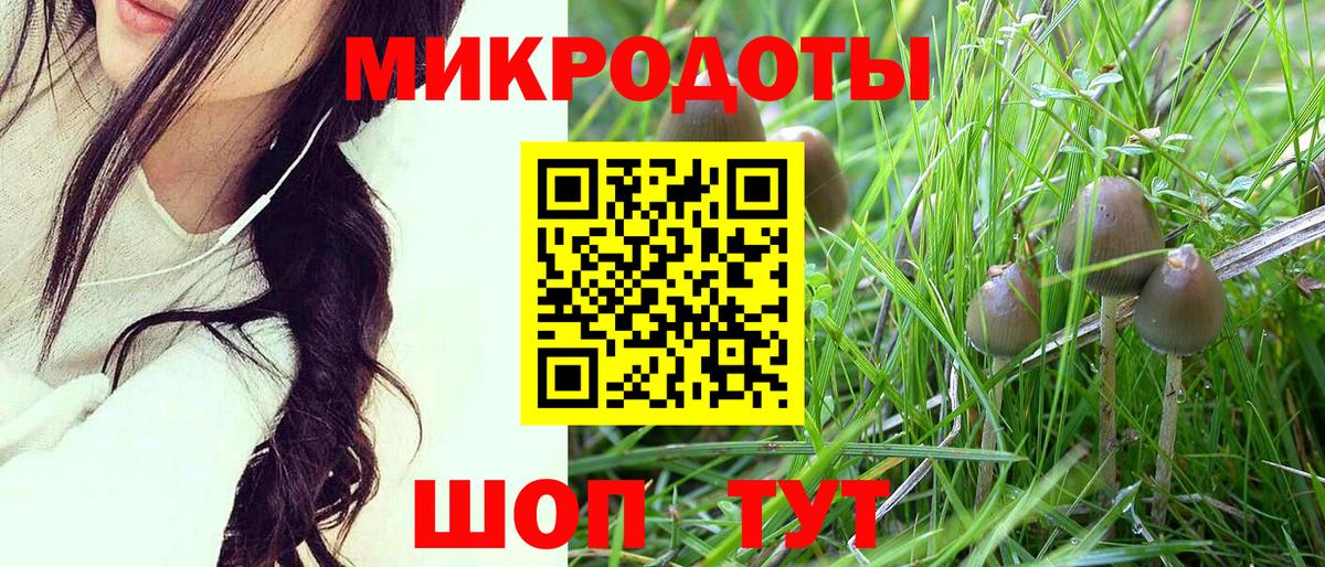 Псилоцибиновые грибы GOLDEN TEACHER Баксан